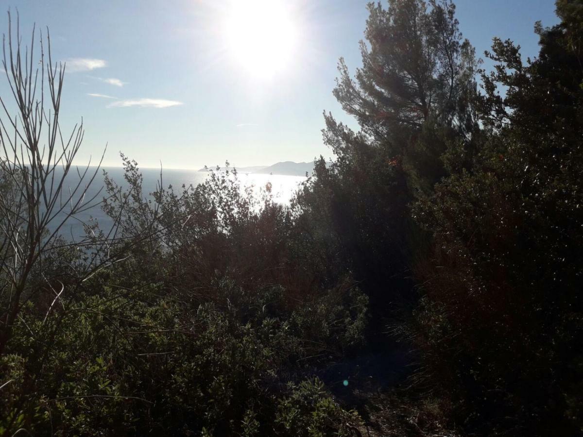 Apartment Aurora & Nicole Ideal Per Biker Con Terazza Vista Mare Parcheggio E Wi-Fi Gratuiti Pietra Ligure Exteriör bild